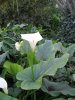 aug 2008 035